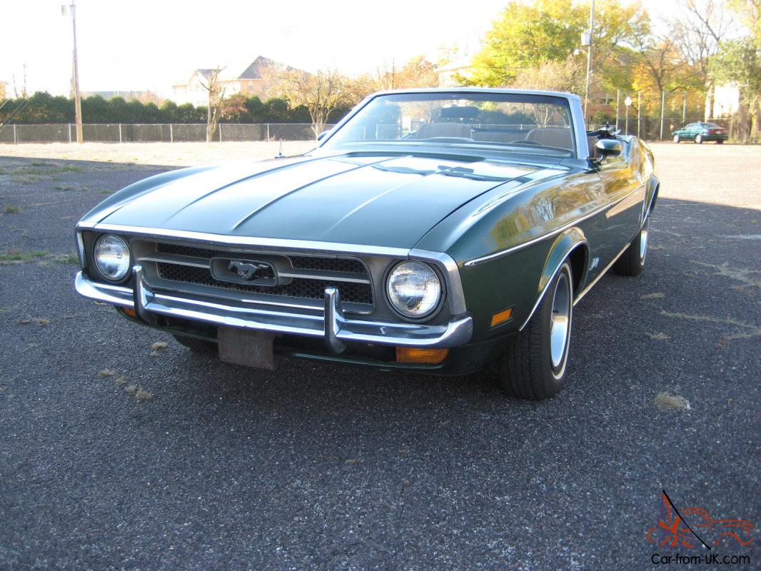 Ford Mustang Tan Interior And Body Chrome Accents