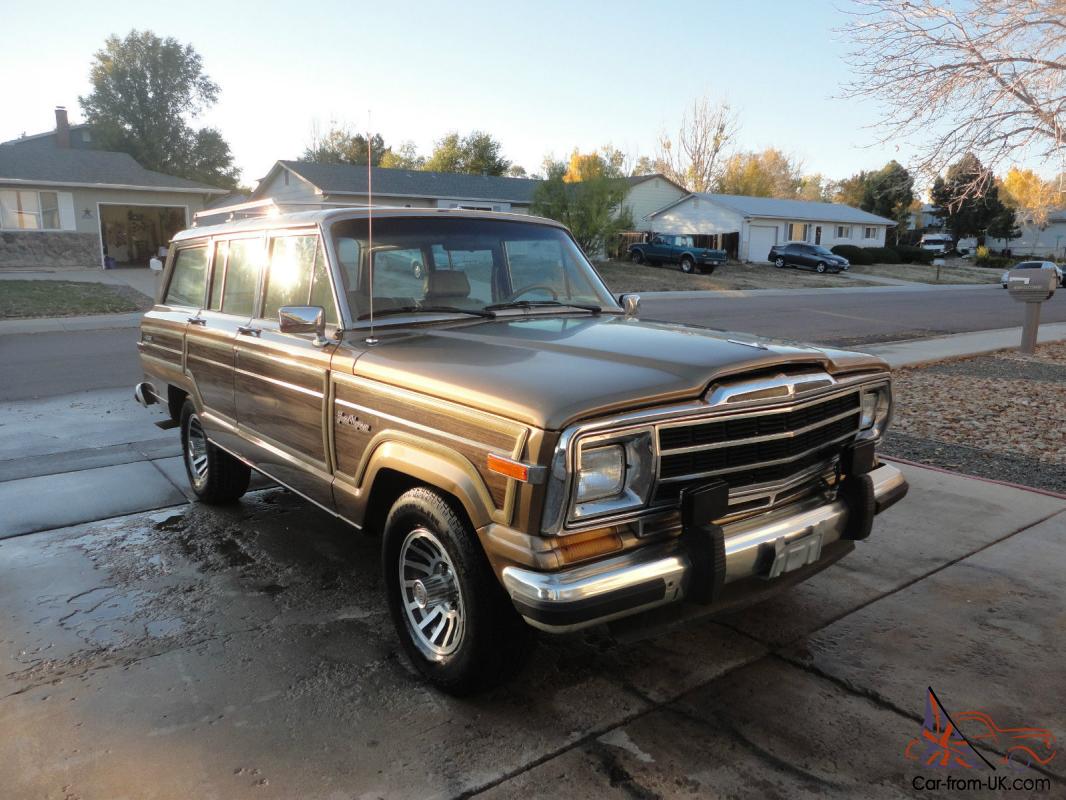 Steering filter jeep wagoneer power pump