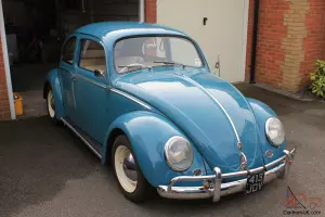  1961 VOLKSWAGEN BEETLE 