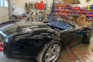 Shelby: Cobra Black On Black