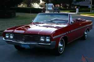 AMAZINGLY BEAUTIFUL LOW MILE SURVIVOR -1964  Buick Skylark Convertible - 65K MI