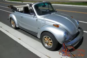 1979 Volkswagen Beetle - Classic