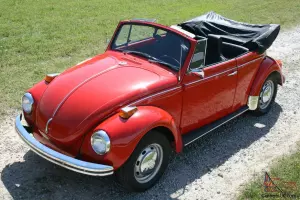 BUMPER TO BUMPER THIS BUG IS BRAND NEW! Watch Video