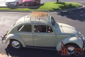 1964 Volkswagen Beetle - Classic