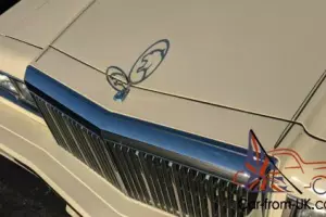 1982 Mercury Cougar LS Photo