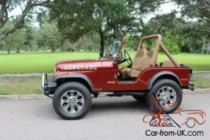 1980 Jeep CJ Custom