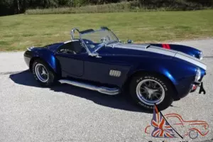 1965 Shelby Cobra Photo