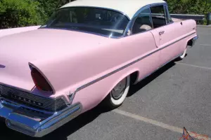 Classic Finned Beauty Photo