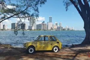 Other Makes : POLSKI FIAT 126P 650E 126p 650e