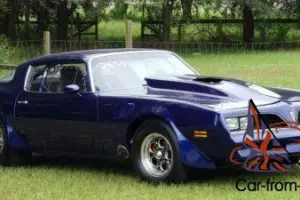 1978 Pontiac Trans Am Photo