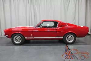 Shelby: GT500 Fastback Photo