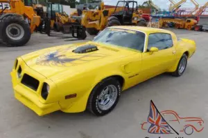 1976 Pontiac Trans Am FAST BIRD Photo