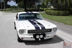 ShelbyCobra GT350 CstmTribute RestoMod 302 425HP5spd AC Photo