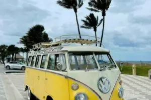 1975 Volkswagen Bus/Vanagon Bus