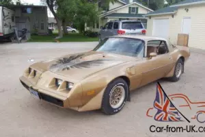 1979 Pontiac Firebird WS6 Photo