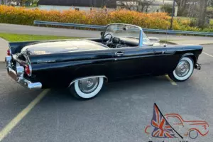 1955 Ford Thunderbird