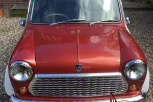 Classic Mini Special