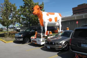 unique ice cream truck . milk , dairy promotional vehicle big cow