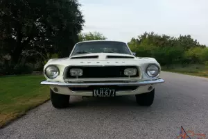 1968 Shelby GT350 Hertz