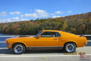 1970 Ford Mustang Mach 1 Pro Touring  428 Photo