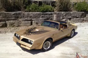 Pontiac : Trans Am 4 Speed Special Edition  Survivor  Unrestored