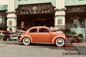 1957 oval beetle