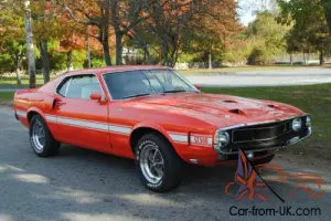 1969 Shelby GT 500 Fastback Photo