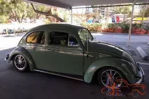 1961 Volkswagen Beetle-New Photo