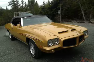 Pontiac : GTO Convertible