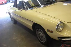 alfa romeo spyder comv.