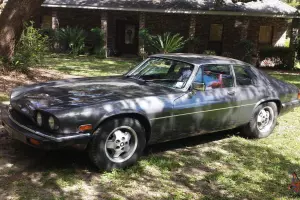 Jaguar : XJS Leather