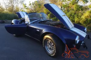 1965 Shelby Shelby Cobra FAI