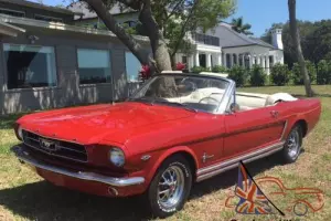 1965 Ford Mustang Photo