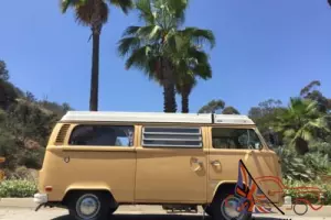 1979 Volkswagen Bus/Vanagon