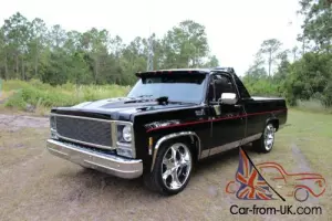 1973 Chevrolet C-10 Custom Deluxe 77+ Pic (Video inside) FREE SHIPPING