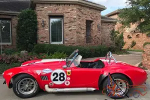1966 Shelby