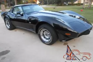 1979 Chevrolet Corvette Photo