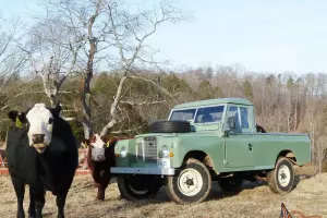 Series 3, 109 pick-up truck, ex-MOD
