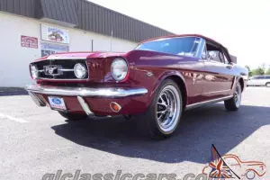 Ford : Mustang Pony