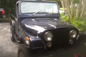 1982 Jeep CJ 8  Scrambler Base Sport Utility 2-Door 4.2L