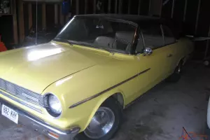 AMC : Other rambler Photo