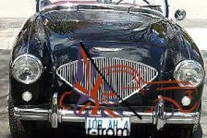 Austin Healey : Other BN1
