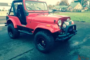 Jeep : CJ 2 dr