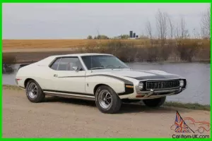 AMC : Other SST Pierre Cardin Special Edition Fastback Coupe