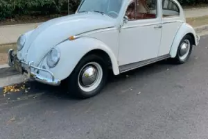 1964 Volkswagen Beetle - Classic