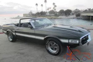 1969 Shelby Shelby GT 350 Cobra GT Photo