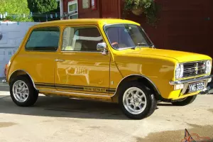  Rare 1970 1275 GT mini 