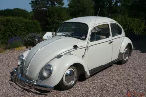  1964 VOLKSWAGEN BEETLE, Pearl White  Photo