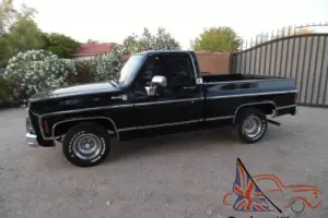1979 Chevrolet C-10