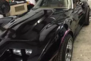 1975 Chevrolet Corvette L-82 Photo